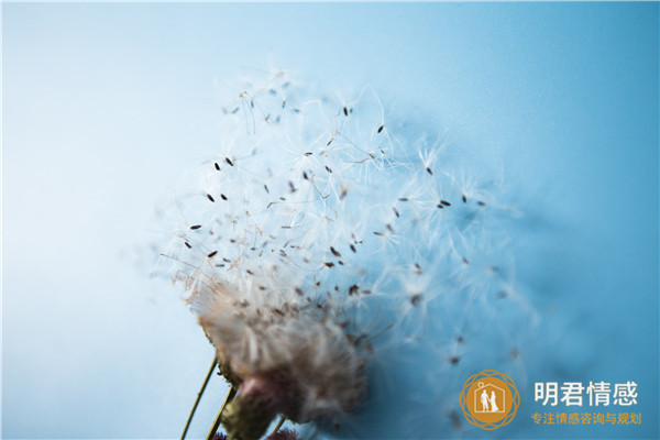 女人梦见下雨有什么预兆,女人梦见下雨是好是坏