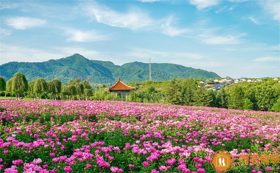 在爱情里的处女座性格：不太浪漫，但对爱要认真对待