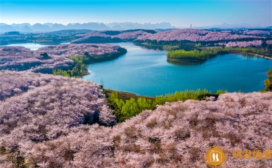 结婚音乐背景,婚庆专用背景音乐