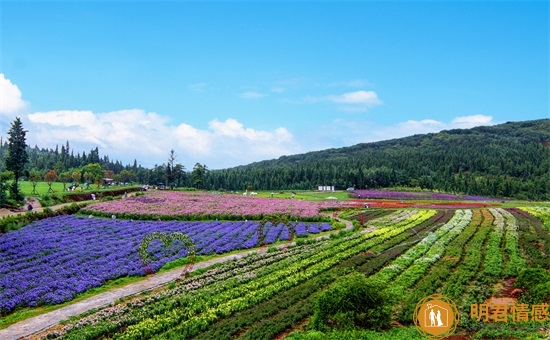 貔貅怎么佩戴,应该怎样开光最好