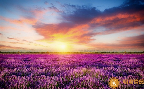 七夕情人节是几月几号,七夕节有哪些说法