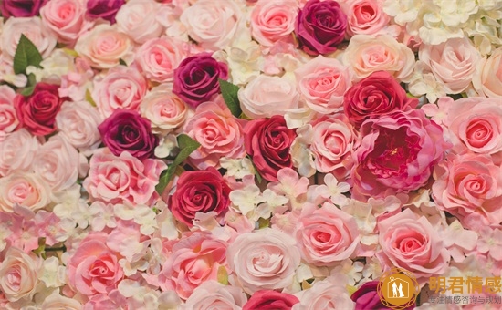 玫瑰花语颜色代表什么,粉玫瑰不能随便送人