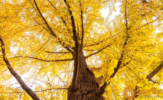 如何和死心的老婆聊天,和死心老婆聊天技巧