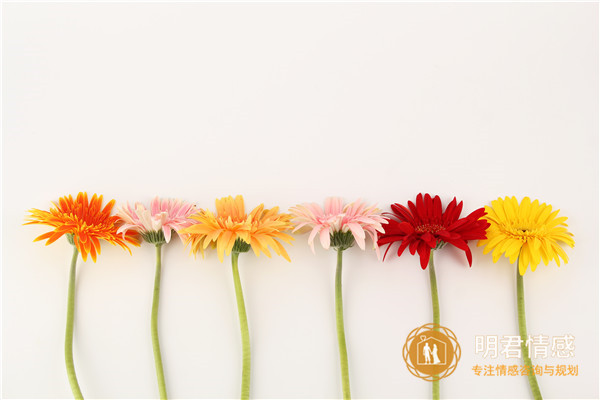 桃花盛开是什么季节,形容三月桃花开的句子