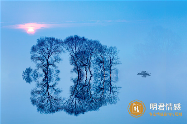 不喜欢被别人安排的星座