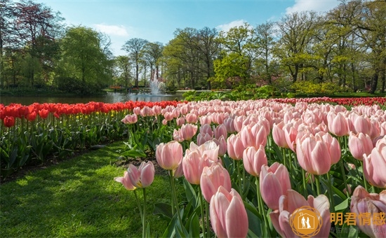 六一儿童节发朋友圈的说说,六一儿童节的签名