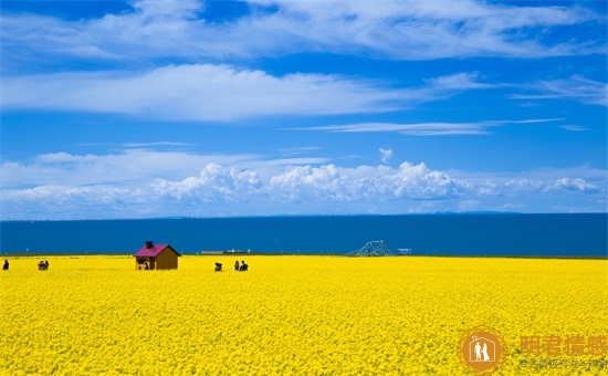 六一儿童节寄语简短,简短的六一寄语