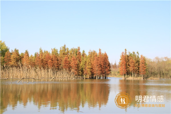 流经我们内心的风景语录,做一个内心有风景的人