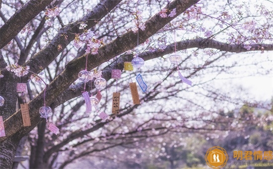 婚礼随份子钱的吉利数字,这些你知道吗