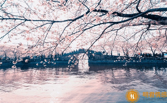 教师节走心文案,送给老师的神仙文案