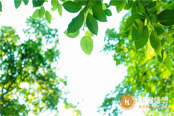 教师节说说朋友圈句子,赞美老师的朋友圈