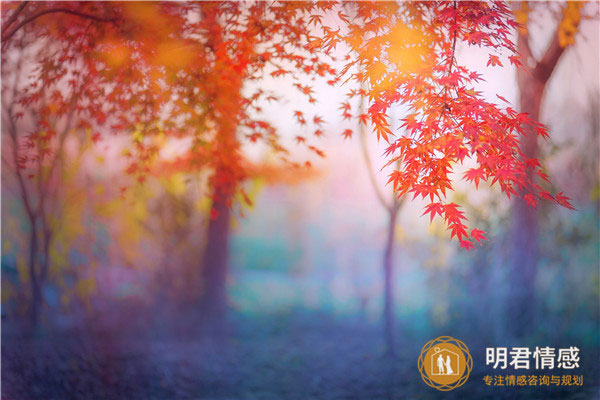 教师节朋友圈说说,让老师感动到哭的留言