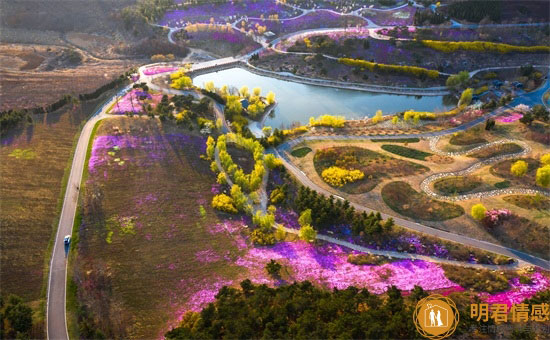 教师节给老师的话简短,学生感谢老师的话简短