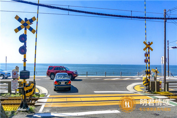 将爱情进行到底经典台词,深入人心