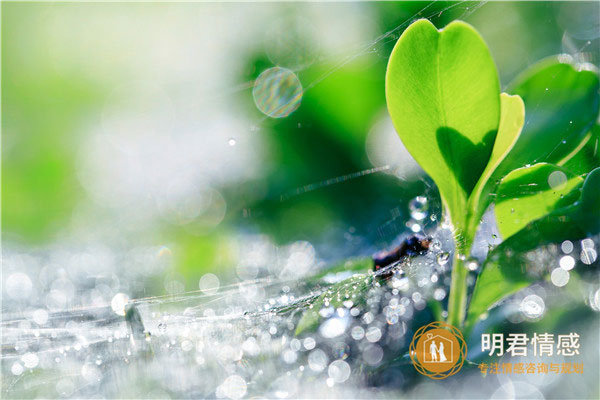 下雨天吸引人的朋友圈文案,适合下雨天发的文案