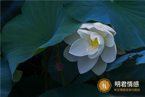 老婆出轨后怎样挽救婚姻,挽救婚姻的最好方法!
