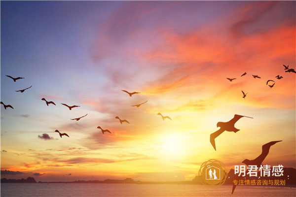 男女之间的相处模式有哪些?很多人都羡慕,但却总是做不到