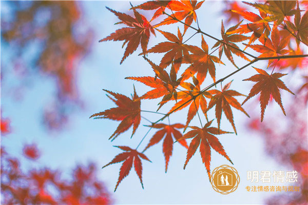 离婚重新开始的句子,离婚后重新开始的说说