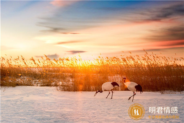 女人怎么做才会让男朋友看到你的好