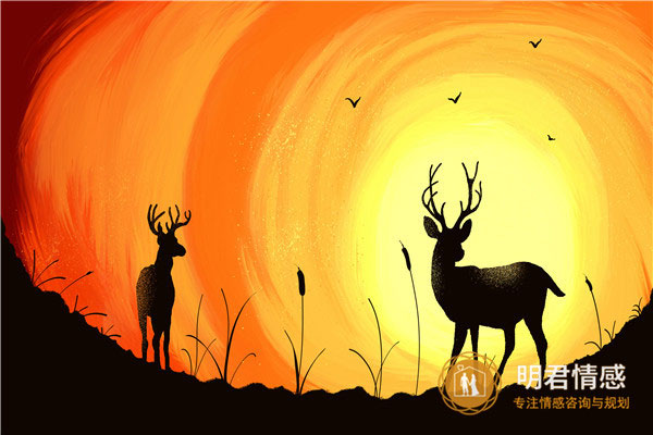 和理智的男生谈恋爱,理性男这些优点值得的女生去爱 和理智的男生谈恋爱,理性男这些优点值得的女生去爱