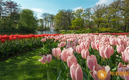 和离过婚的男人谈恋爱,面临什么样的问题,很多网友给出了重要提示