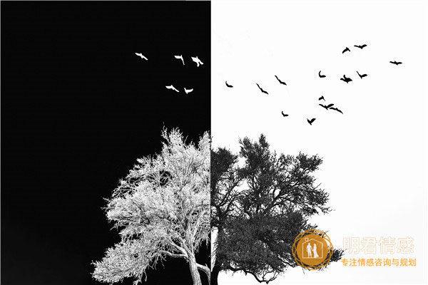 改变自己提升自己的句子,提升自己的能力的句子