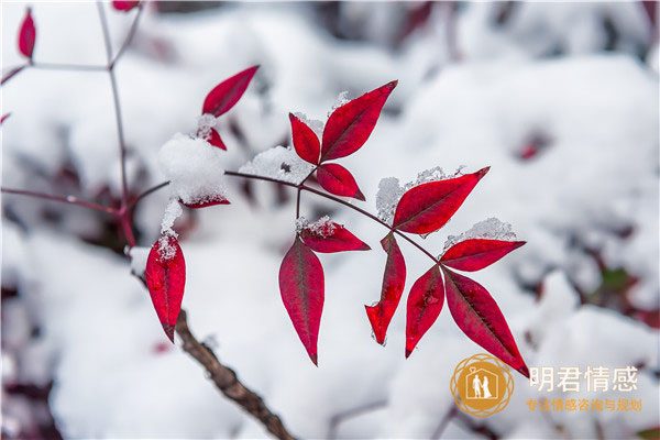 情人节怎么表白好怎么说