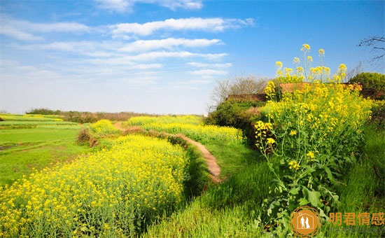 婚后不幸福的生活感悟说说,婚姻让我对生活彻底失望的句子 婚后不幸福的生活感悟说说,婚姻让我对生活彻底失望的句子