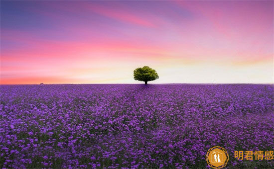 婚姻生活中,为什么离婚后的女人不容易再婚