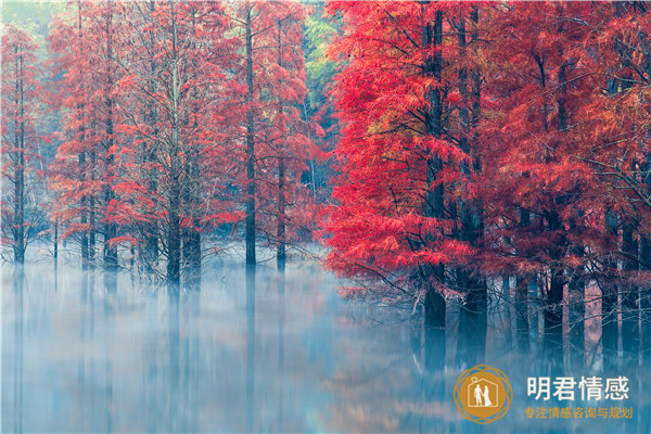 怎样让爸妈尊重自己的老婆