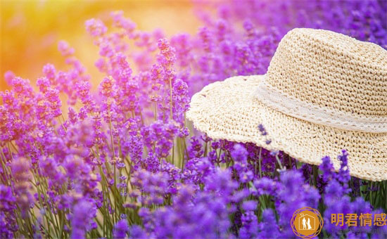 公婆偏心弟媳一家如何解决矛盾比较好