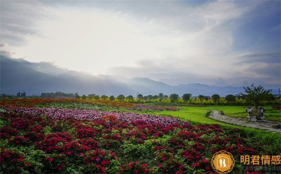 婚姻里不可缺少的东西是什么,这几个东西不可缺少