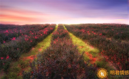 夫妻婚姻最大的问题是什么,夫妻双方应该共同努力实现平衡