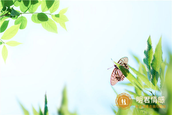 什么样的男人懂得经营婚姻,这几种很重要