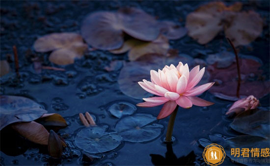 什么样的婚姻比较合适长久,婚姻需要磨合和妥协