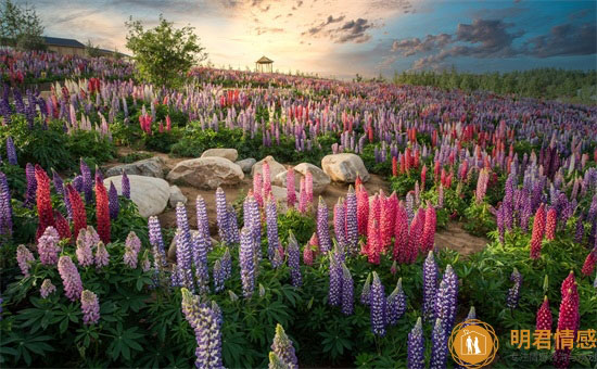 什么样的女人能过好婚姻,有这些特征的更幸福