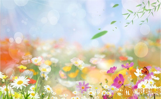 婚姻中女人变心的细节是什么,表现出对别人的欣赏