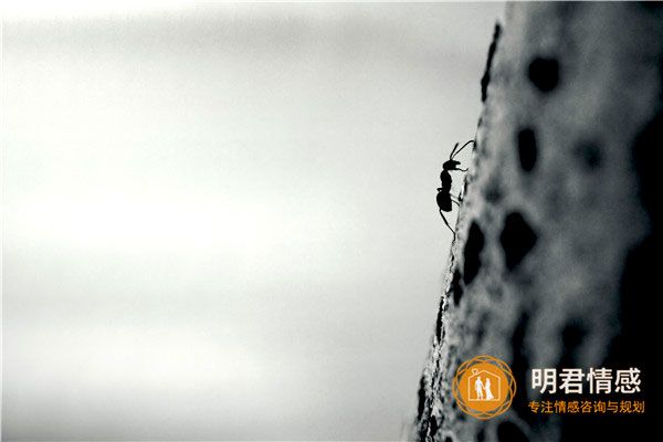 幸福婚姻里最不可缺的东西,这些“东西”往往不可或缺